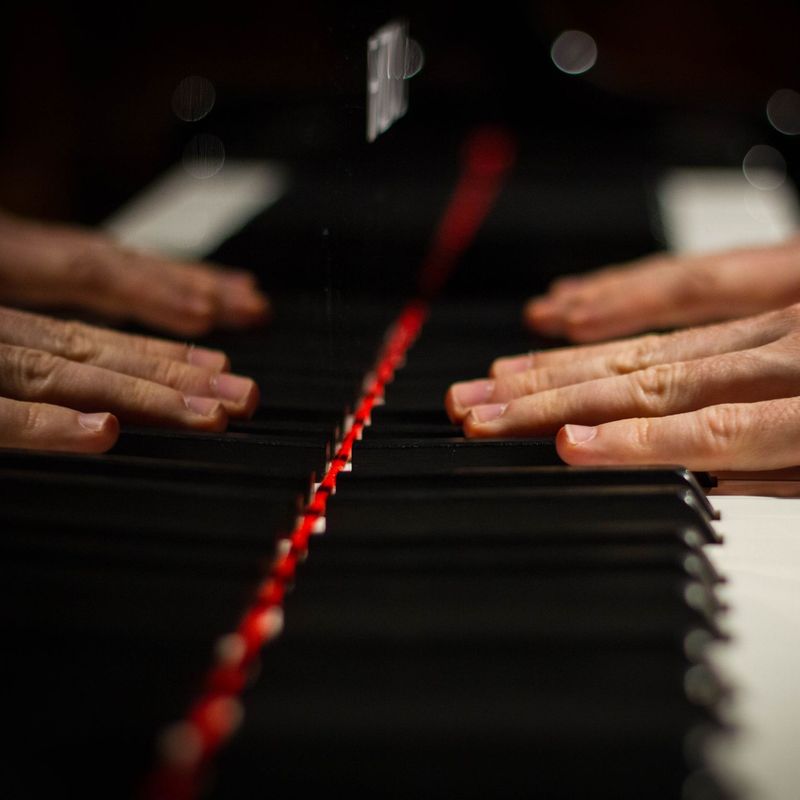 Hands at Highgate 2016