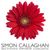 Flyer - bco-simon-callaghan-poster-april-2012